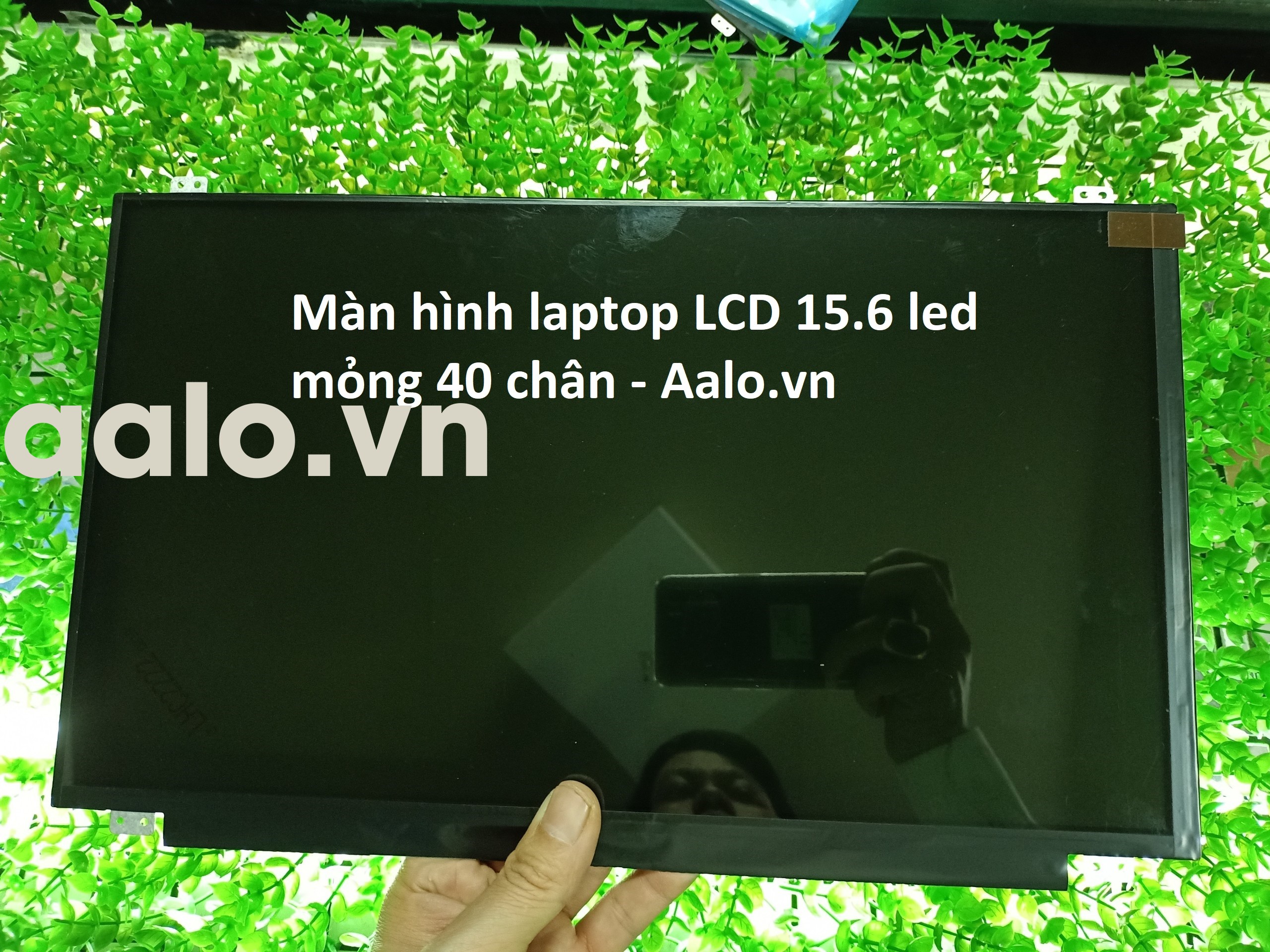 Màn hình Laptop HP Pavilion 15B